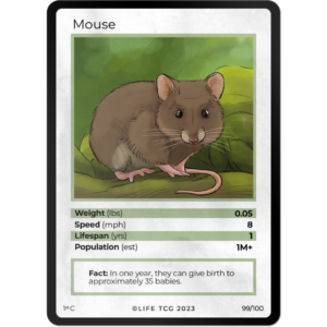 Life TCG: 1st Edition Trading Card  - Mammals - Mouse 99/100