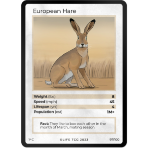 Life TCG: 1st Edition Trading Card  - Mammals - European Hare 97/100