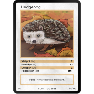 Life TCG: 1st Edition Trading Card  - Mammals - Hedgehog 94/100