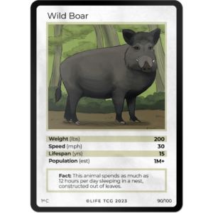 Life TCG: 1st Edition Trading Card  - Mammals - Wild Boar 90/100