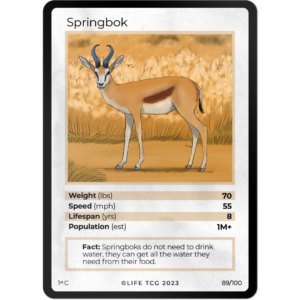 Life TCG: 1st Edition Trading Card  - Mammals - Springbok 89/100