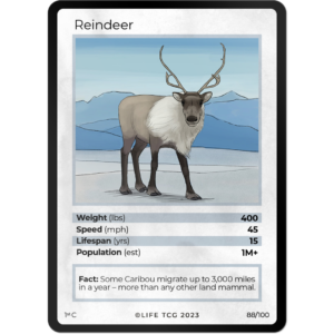 Life TCG: 1st Edition Trading Card  - Mammals - Reindeer 88/100
