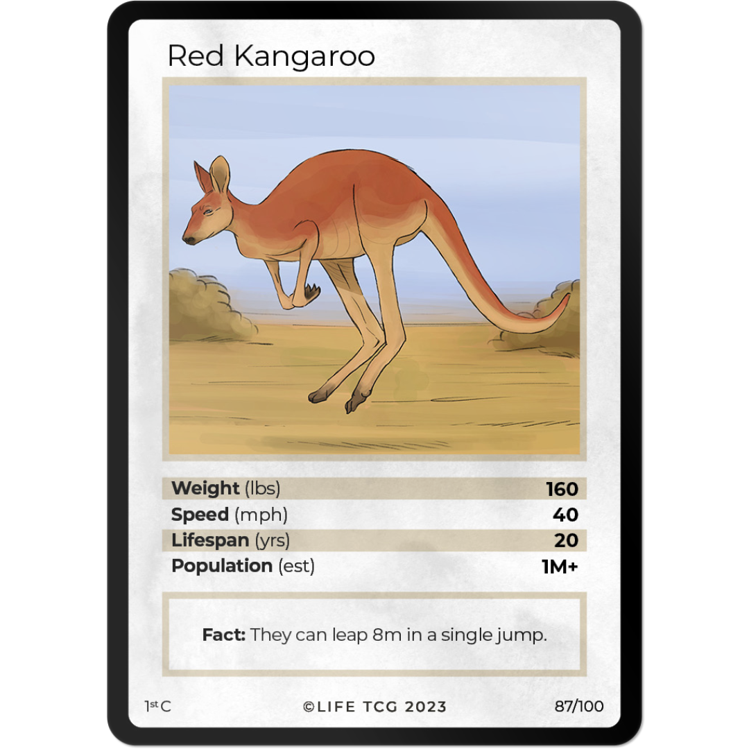 Life TCG: 1st Edition Trading Card  - Mammals - Red Kangaroo 87/100