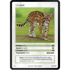 Life TCG: 1st Edition Trading Card  - Mammals - Ocelot 84/100