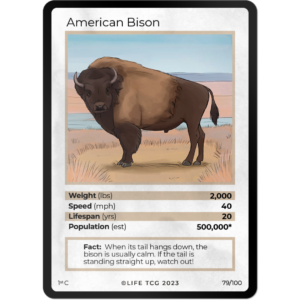 Life TCG: 1st Edition Trading Card  - Mammals - American Bison 79/100