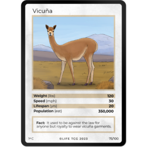Life TCG: 1st Edition Trading Card  - Mammals - Vicuna 75/100