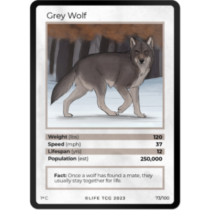 Life TCG: 1st Edition Trading Card  - Mammals - Grey Wolf 73/100