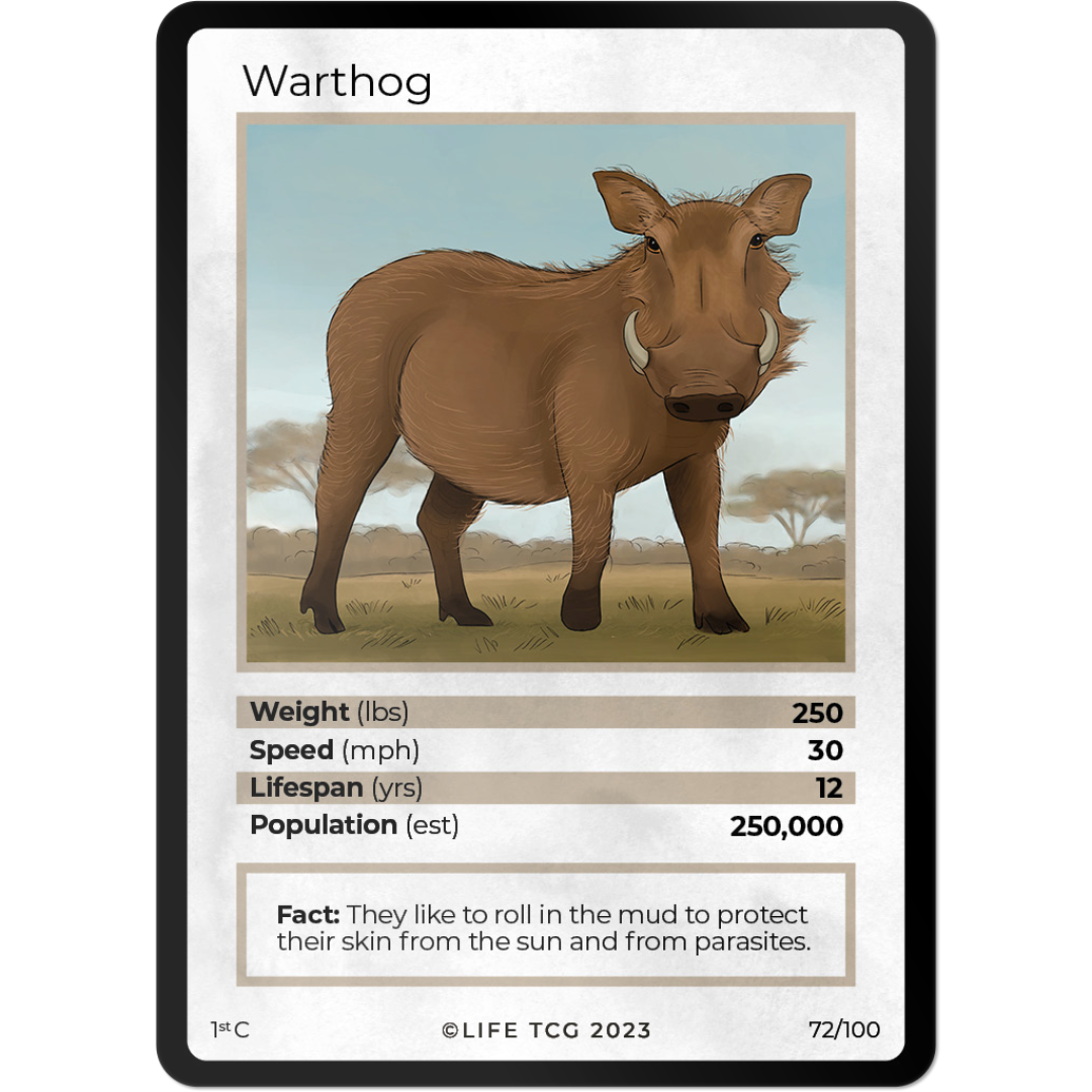 Life TCG: 1st Edition Trading Card  - Mammals - Warthog 72/100