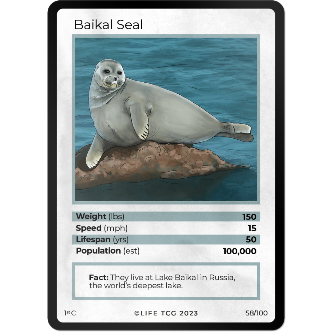 Life TCG: 1st Edition Trading Card  - Mammals - Baikal Seal 58/100