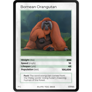 Life TCG: 1st Edition Trading Card  - Mammals - Bornean Orangutan 57/100
