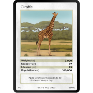 Life TCG: 1st Edition Trading Card  - Mammals - Giraffe 55/100