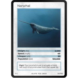 Life TCG: 1st Edition Trading Card  - Mammals - Narwhal 54/100