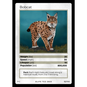 Life TCG: 1st Edition Trading Card  - Mammals - Bobcat 82/100