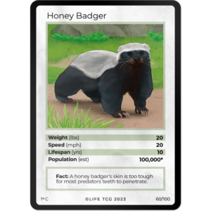 Life TCG: 1st Edition Trading Card  - Mammals - Honey Badger 60/100
