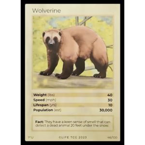 Life TCG: 1st Edition Trading Card  - Mammals - Wolverine 46/100