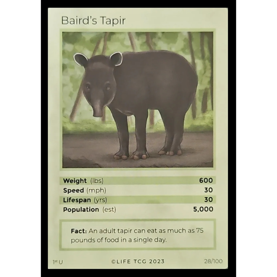 Life TCG: 1st Edition Trading Card  - Mammals - Baird's Tapir 28/100