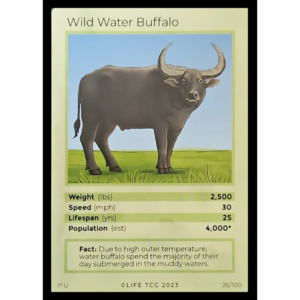 Life TCG: 1st Edition Trading Card  - Mammals - Wild Water Buffalo 26/100