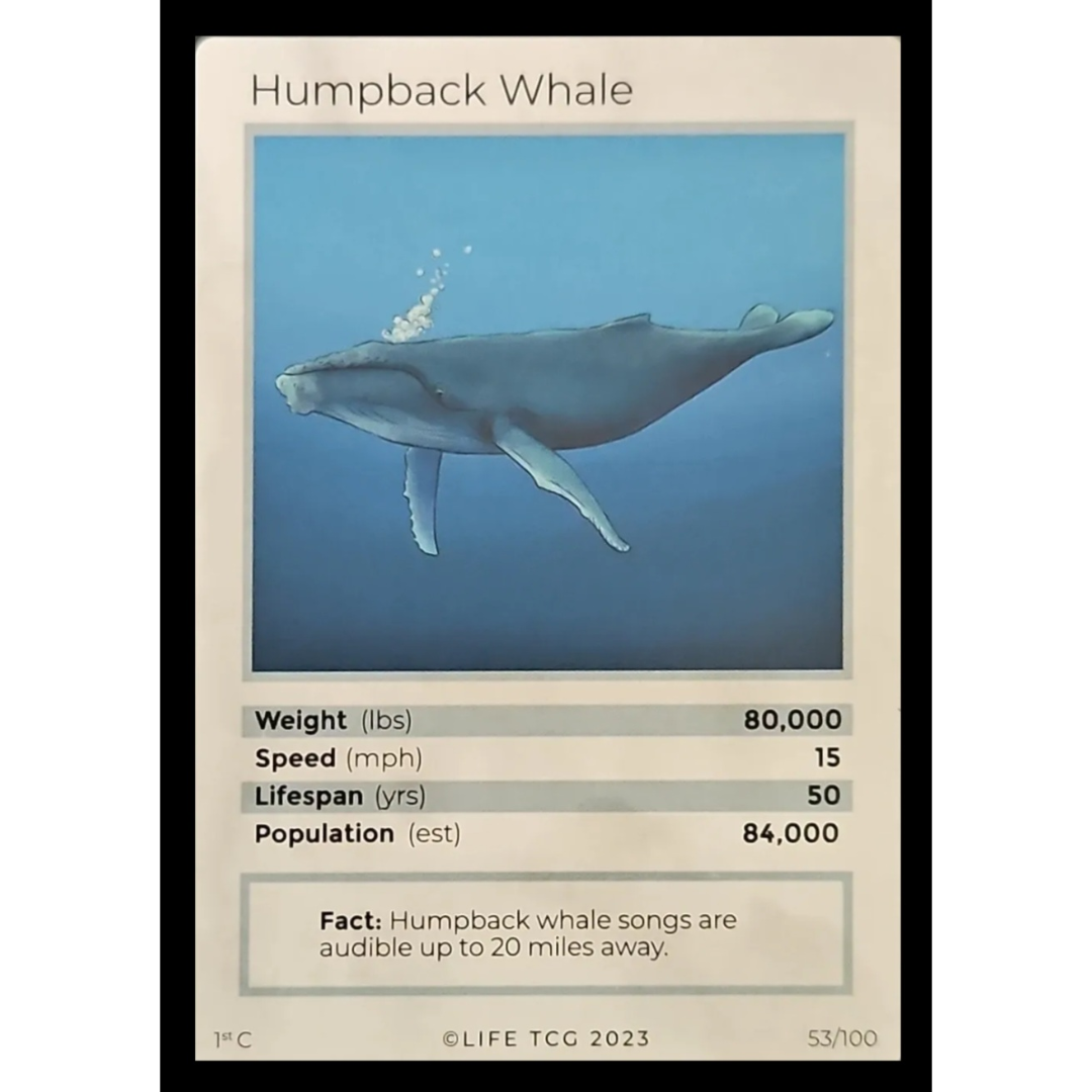 Life TCG: 1st Edition Trading Card  - Mammals - Humpback Whale 53/100