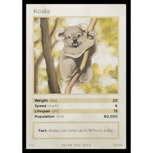 Life TCG: 1st Edition Trading Card  - Mammals - Koala 52/100