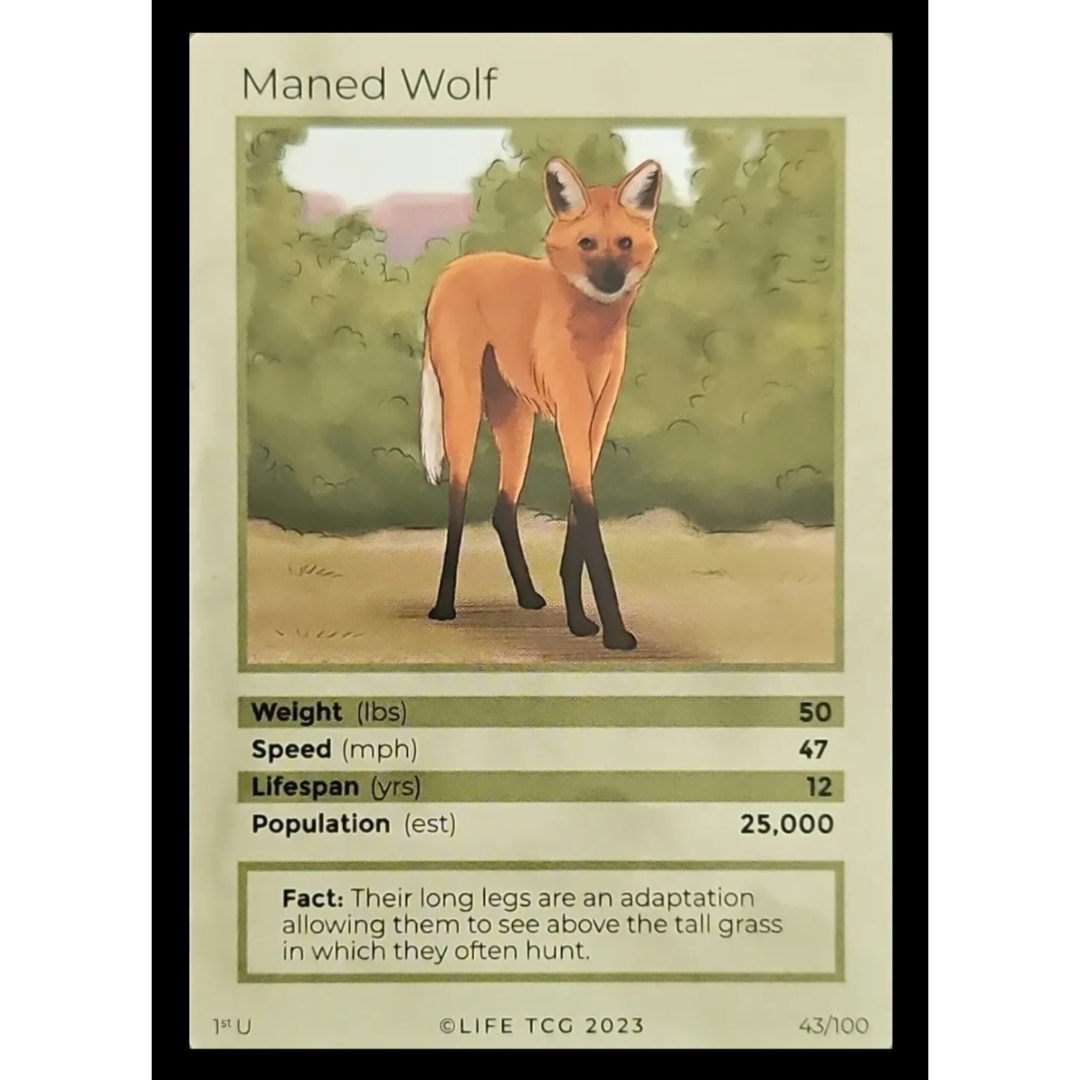 Life TCG: 1st Edition Trading Card  - Mammals - Maned Wolf 43/100