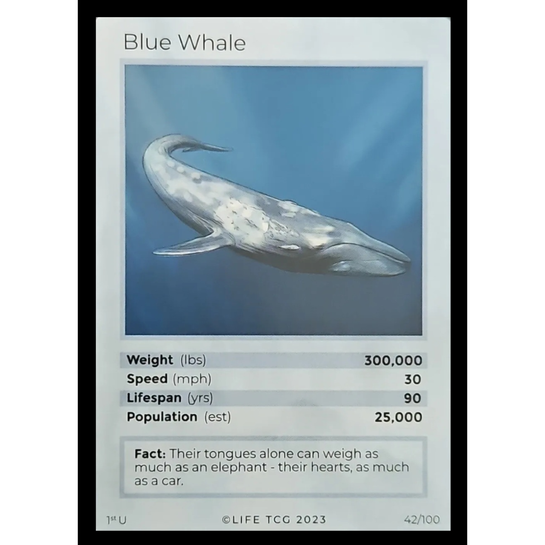 Life TCG: 1st Edition Trading Card  - Mammals - Blue Whale 42/100