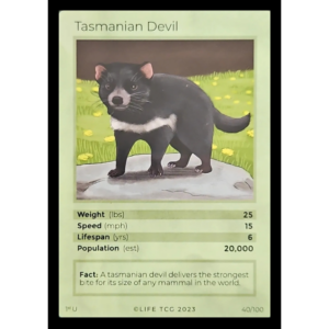 Life TCG: 1st Edition Trading Card  - Mammals - Tasmanian Devil 40/100