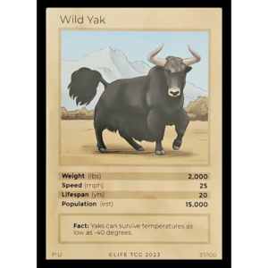 Life TCG: 1st Edition Trading Card  - Mammals - Wild Yak 37/100