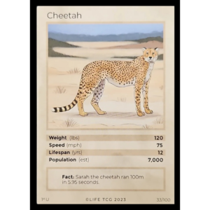 Life TCG: 1st Edition Trading Card  - Mammals - Cheetah 33/100