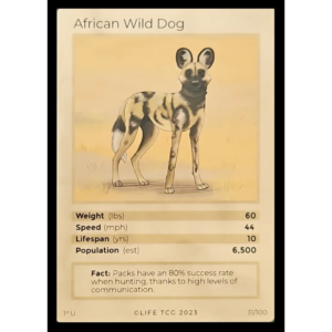 Life TCG: 1st Edition Trading Card  - Mammals - African Wild Dog 31/100