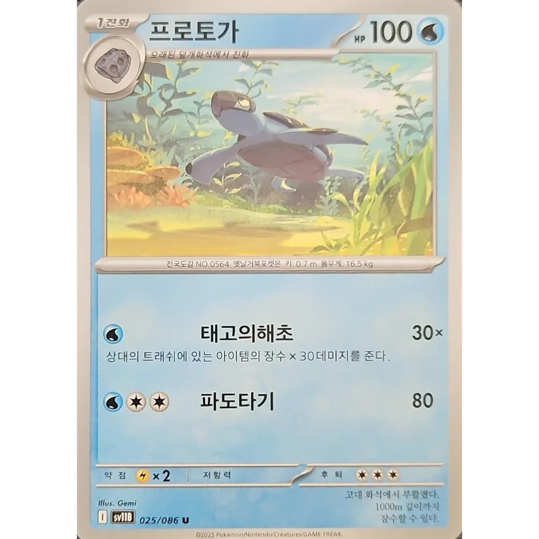Pokémon TCG: Black Bolt SV11B 025/086 Tirtouga Korean